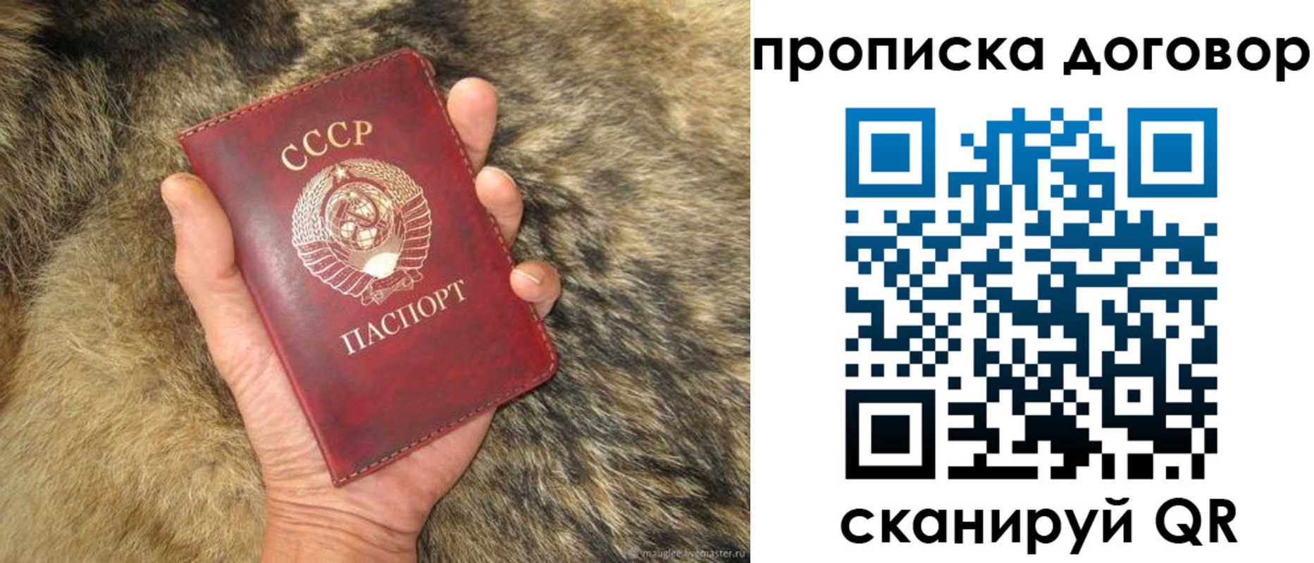 прописка регистрация в Константиновске
